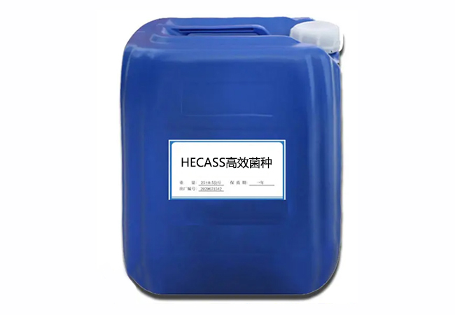 HECASS高效菌种.jpg